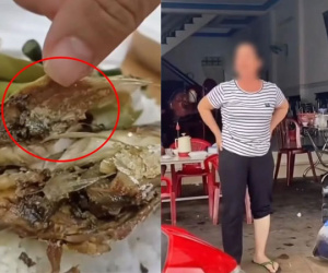Mua cơm cô gái phát hiện ổ sinh vật ngoe nguẩy trong miếng thức ăn, chủ quán có phản ứng gây sốc