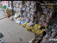 Bé gái may mắn chạy thoát khỏi hàm răng chó lạ nhưng dân mạng vẫn ám ảnh với nạn nhân cuối cùng của vụ tấn công