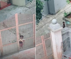 Cô gái đăng đàn kêu khổ sở vì lấy chồng gần, hội chị em nháo nhào: 'Cho khổ với!'