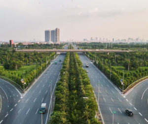 Vụ 'thổi giá cây xanh' Hà Nội: Đường đi của cây trồng nhập lậu từ Trung Quốc