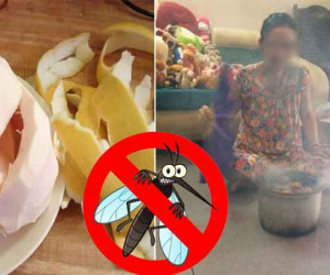 Chớm hạ muỗi lên, trước khi đi ngủ đặt bát nước này trong phòng, muỗi không dám mò đến, yên tâm ngủ ngon