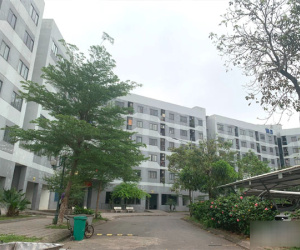 Sau 5 năm cho thuê, nhà ở xã hội tại Hà Nội bán giá 800 triệu/căn