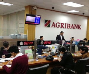 Lợi nhuận tăng mạnh, nhân viên Agribank thu nhập bình quân gần 30 triệu/tháng