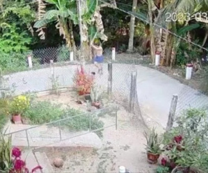Người đàn ông dùng cây gỗ đánh hơn 20 nhát vào đầu khiến hàng xóm U70 tử vong