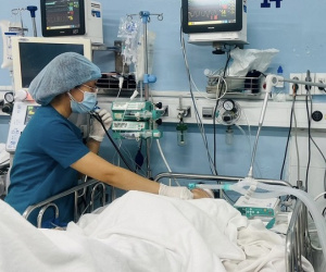Vụ cây xanh bật gốc trước Trường Trần Văn Ơn: Thai phụ đã qua cơn nguy kịch