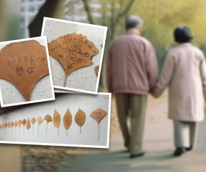 Người phụ nữ viết thư tình cho chồng đã khuất trên lá cây