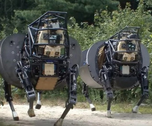 Ấn Độ muốn thay thế 60% số con la kéo hàng trong quân đội bằng robot