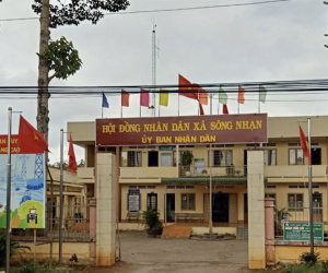 Đình chỉ một CSGT liên quan vụ vợ chồng bấm được 4 biển số 'siêu đẹp'