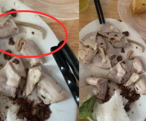 Đi ăn bún đậu mắm tôm, cô gái 'sốc tận óc' phát hiện con sán dài ngoằng trong lòng lợn