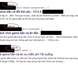 Gần 170 trang giáo dục tại Việt Nam bị cài nội dung cá độ, cờ bạc