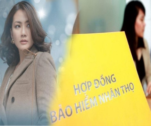 Từ vụ Ngọc Lan, hợp đồng bảo hiểm thời hạn đóng phí cả thế kỷ có đúng luật?