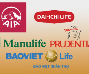 Bảo hiểm nhân thọ phân chia thị phần ra sao?