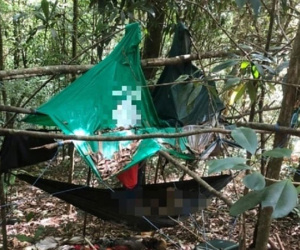 Bàng hoàng phát hiện thi thể người phụ nữ đang phân hủy trong rừng sâu