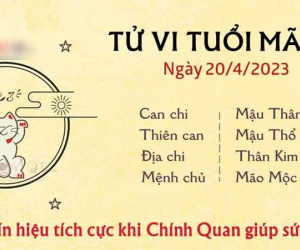Tử vi thứ 5 ngày 20/04/2023 của 12 con giáp: Mão được giúp, Hợi sai lầm
