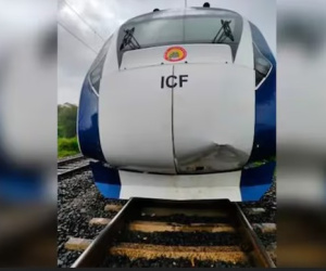 Tàu cao tốc tông bò lạc văng xa hơn 30 mét khiến người đàn ông tử vong