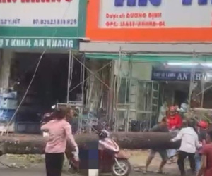 Clip: Cây cổ thụ bật gốc đè một phụ nữ bị thương nặng, người dân xúm lại giải cứu