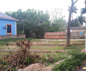 Đất nền 'cắt lỗ', có nên xuống tiền gom mua?