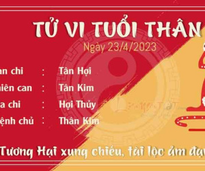 Tử vi Chủ Nhật ngày 23/04/2023 của 12 con giáp: Tị làm ăn phấn khởi, Thân tài lộc ảm đạm