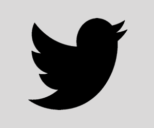 Twitter cấp dấu xác thực cho tài khoản giả mạo kênh truyền hình Disney