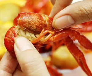 Tai nạn thường gặp khi đi du lịch, ai cũng nên biết để tránh