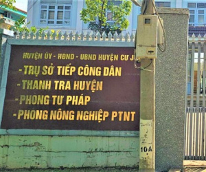 Trưởng phòng Tư pháp xin lỗi, trả lại cây hoa giấy 'thấy héo nên mang về tưới'