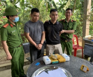 Ảnh minh họa