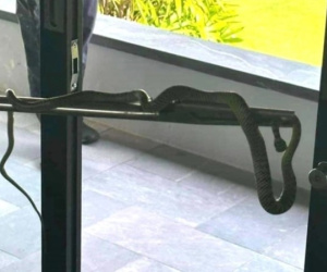 Sở VHTT&DL Quảng Nam lên tiếng vụ rắn bò vào phòng thuê 60 triệu/đêm