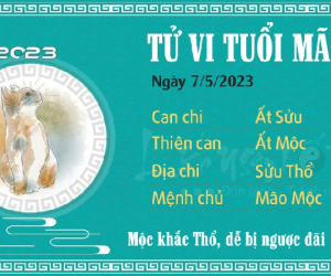 Tử vi Chủ Nhật ngày 07/05/2023 của 12 con giáp: Sửu đón tài lộc, Mão đề phòng lừa đảo