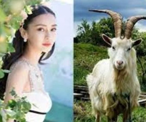 Đúng hôm nay 8/5: 4 tuổi 'cá chép hóa rồng', vận trình thăng tiến, tiền tiêu rủng rỉnh