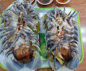 Đặc sản kỳ dị đắt hơn tôm hùm, nhà giàu 'thèm cũng khó mua'
