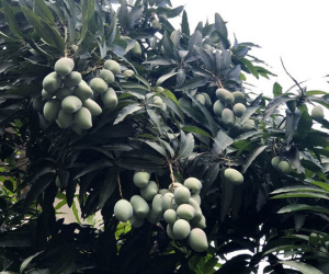 Ảnh bìa bài viết 877973