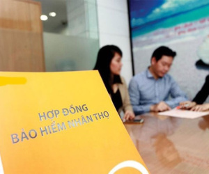 Khách tố nhân viên ngân hàng dụ mua bảo hiểm 'lãi cao hơn gửi tiết kiệm'