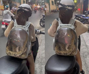 Chở theo thú cưng trên đường, cô gái trẻ khiến ai nấy vừa nhìn cũng tỏ vẻ khiếp đảm