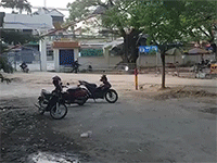 Kinh hoàng trâu điên làm bị thương học sinh và giáo viên trong trường