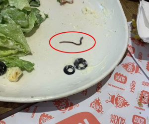 Đình chỉ hoạt động cơ sở kinh doanh có 'sinh vật lạ' bò trên đĩa salad