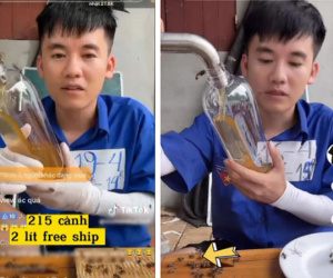 Con trai bà Tân Vlog xóa video bán mật ong, giá 215 nghìn đồng/lít có mật thật?
