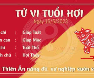Tử vi thứ 3 ngày 16/05/2023 của 12 con giáp: Hợi sự nghiệp suôn sẻ, Mùi vấp phải khó khăn