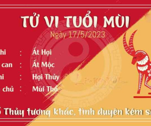 Tử vi thứ 4 ngày 17/05/2023 của 12 con giáp: Sửu có tin vui công việc, Mùi tình duyên kém sắc
