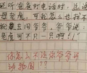 Học sinh tiểu học viết văn kể 'trong nhà có con hổ cái', cô giáo đọc xong chỉ biết ôm bụng cười