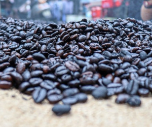 Cùng với gạo, Indonesia tiếp tục chi tiền khủng mua loại hạt này của Việt Nam