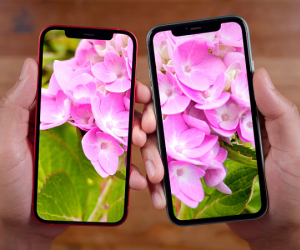 Apple tự sản xuất màn hình, giảm lệ thuộc Samsung