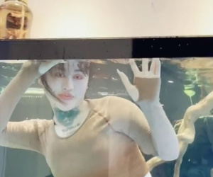 Hotgirl TikTok chấp nhận chui vào bể cá 'làm trò' để nhận tiền dù mắt vừa phẫu thuật