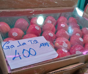 Những loại trái cây Trung Quốc được ưa chuộng tại Việt Nam