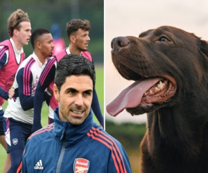 Arsenal chưa từ bỏ đua vô địch, HLV Arteta dắt chó đến sân tập 'lấy may'