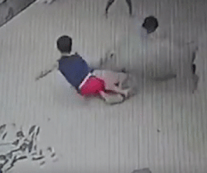 Video: Lợn điên cuồng cắn bé trai trên phố và màn giải cứu gay cấn