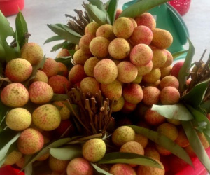 4 vạn tấn vải thiều chờ bán, có loại 90.000 đồng/kg người mua vẫn 'xếp hàng'