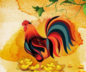 Từ 21/5 - 2/6/2023: Cát vận bủa vây, ba con giáp viên mãn mọi mặt
