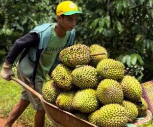 Bán hàng sang Trung Quốc: Việt Nam thắng về lượng, thua xa Thái Lan về giá trị