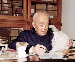 Quy tắc 'ba không' giúp học giả Trung Quốc mắc ung thư vẫn sống tới 98 tuổi: Số 1 là không tập thể dục