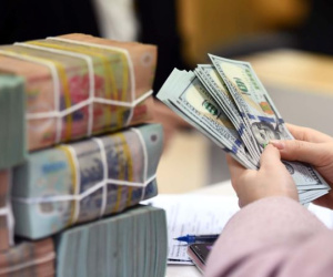 Ngân hàng Nhà nước hạ lãi suất điều hành và trần lãi suất huy động